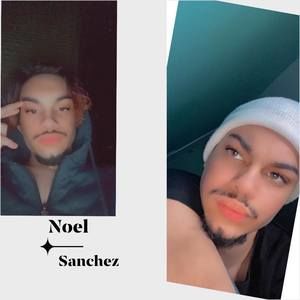 Meet your Posher, Noel